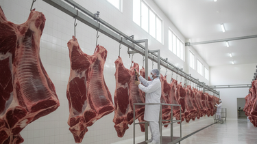 Argentina fortalece su posición global, abriendo nuevos mercados para sus productos agroindustriales de alta calidad.