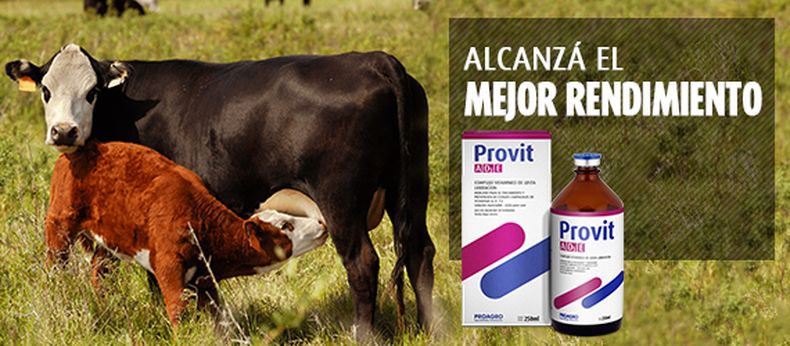 provitad3e banner 570x250.jpg