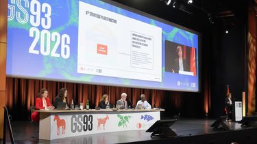El 8° Plan Estratégico de la OMSA marcará las prioridades de trabajo para el período 2027-2031.