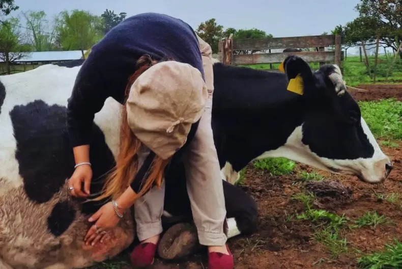 Con el fin de unmejor desempeño productivo y calidad educativa, el INTA brinda apoyo para laformación técnica agropecuaria a estudiantes.