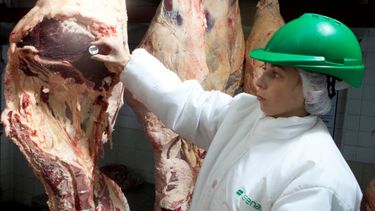 Senasa trabaja con los gobiernos provinciales para que todos llos frigoríficos argentinos operen bajo los mismos requisitos.