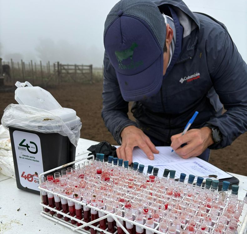 CDV y SCHANG entregan recipientes para residuos rurales.