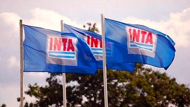 El Gobierno reorganiza la estructura del INTA y suprime una dirección clave.