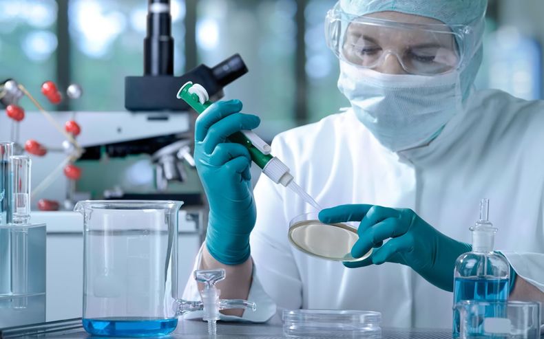 industria veterinaria.jpg