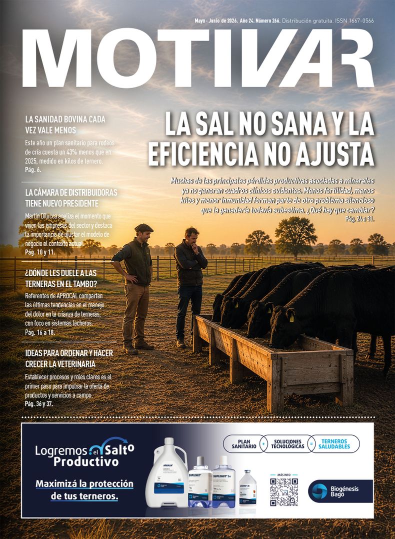 Portada 266