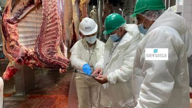 La modernización de los controles sanitarios del Senasa busca optimizar la eficiencia en la cadena agroalimentaria argentina.