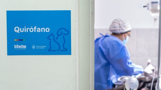 En el curso se abordarán técnicas de castración de caninos y felinos.