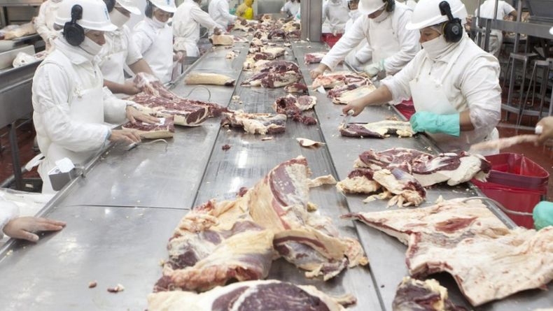 Argentina retoma las exportaciones a Chile de mercancías bovinas y ovinas patagónicas.