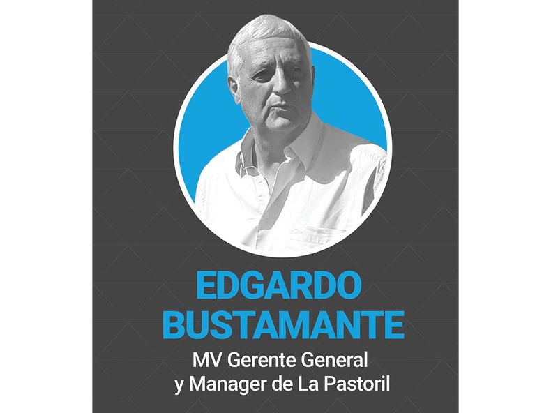 MotivarLive Bustamante.jpg