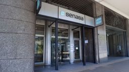 Senasa reemplaza los criterios vigentes desde 2002 y redefine cómo se analizan los riesgos asociados al consumo humano y animal de los desarrollos biotecnológicos (OGM). Senasa reemplaza los criterios vigentes desde 2002 y redefine cómo se analizan los riesgos asociados al consumo humano y animal de los desarrollos biotecnológicos (OGM).