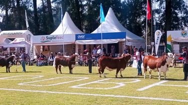 La ExpoBRA será del 18 al 20 de septiembre en La Banda, Santiago del Estero.&nbsp;