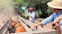 El inductor de Agropharma garantiza grandes resultados incorporándolo a la rutina. El inductor de Agropharma garantiza grandes resultados incorporándolo a la rutina.