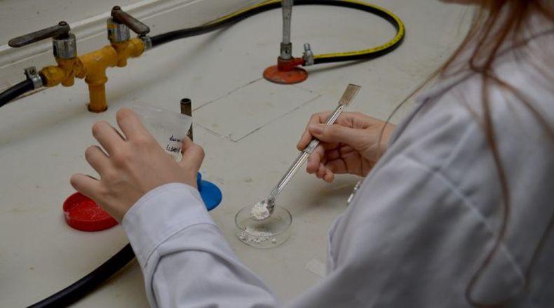 El probiótico muestra resultados concretos en producción porcina.