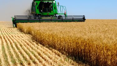 Tomando como base los resultados de la campaña 23-24, el productor agropecuario busca financiación.&nbsp;