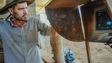 Garrapata bovina. El INTA realiza ensayos para evaluar el comportamiento y eficacia de dos acaricidas (Fipronil e Ivermectina).