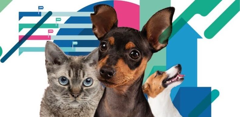La encuesta permite obtener datos relevantes dela población de animales de compañía.