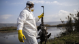 La prevención de zoonosis es clave para la salud pública y animal, bajo el enfoque de Una Sola Salud.