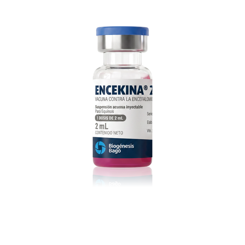Biogénesis Bagó presentó ENCEKINA® 2, una nueva vacuna para prevenir la encefalomielitis equina.