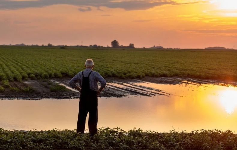 El clima invernal marcará el pulso de la producción y los cultivos.
