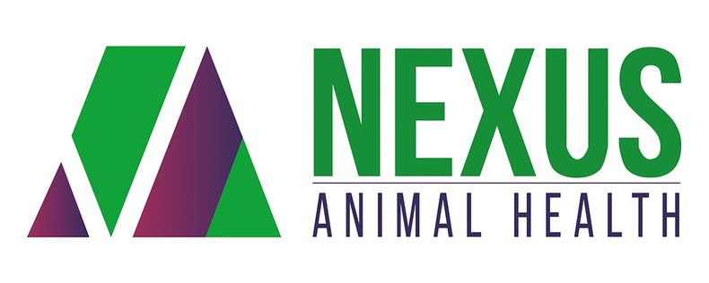 Logo Nexus 1.jpg