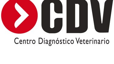 Motivar | CDV centro de diagnostico veterinario.jpg