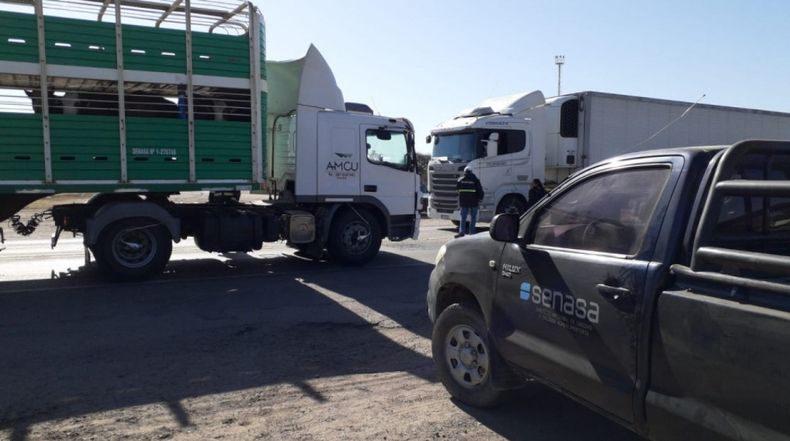 La nueva medida del Senasa busca reforzar la higiene en el transporte animal.