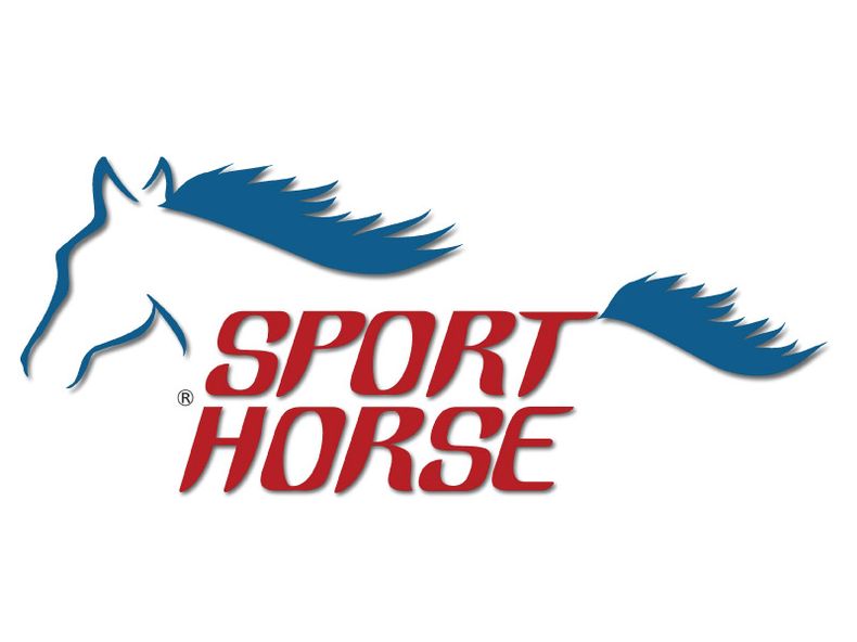 Sport Horse.jpg