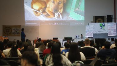Formación en urgencias veterinarias: educación y salud animal.