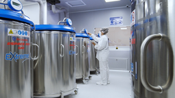 Vacunas argentinas para frenar la fiebre aftosa en Sudáfrica. Vacunas argentinas para frenar la fiebre aftosa en Sudáfrica.