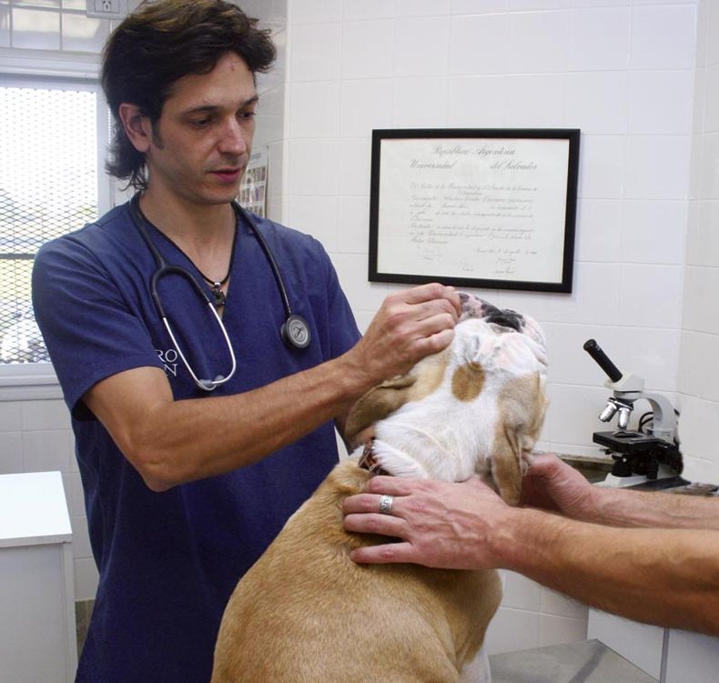 Foto veterinario.jpg