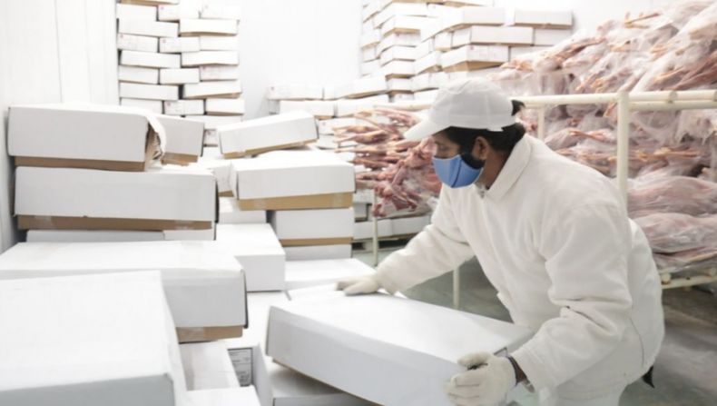 Todas las carnes importadas deberán ir acompañada de un certificado sanitario.