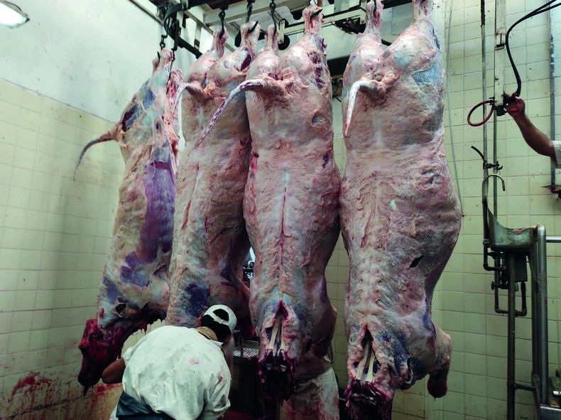 Exportaciones agroindustriales suspendidas de facto.&nbsp;