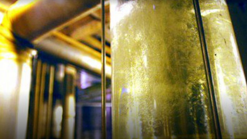 Tras el dólar ,aíz, la Secretaría de Energía autorizó un aumento de 15,22% en el precio de adquisición del litro de bioetanol