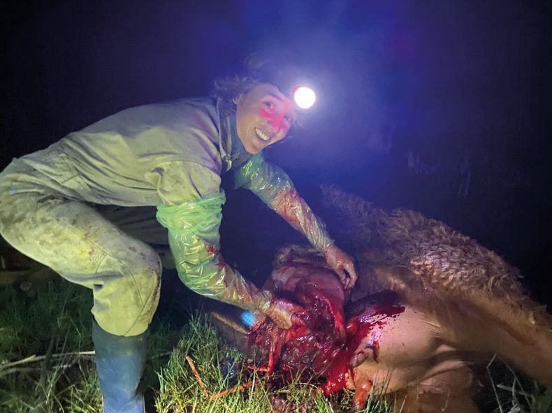 La MV Agustina Errico, de Veterinaria Errico, brindó sus opiniones respecto a la época de parición.