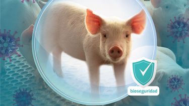 Motivar | imagen art laura RGB.jpg