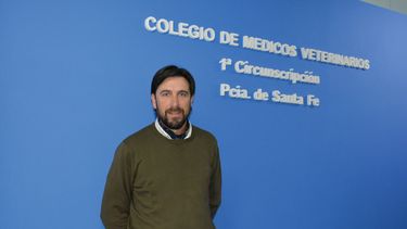 Hay un submundo de productores sobre los cuales no se conoce la situación actual de Aujeszky, afirmó el presidente del Colegio de Médicos Veterinarios 1ra. Circunscripción de Santa Fe.