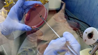 El equipo trabaja en ampliar servicios a nuevos rubros, además de la avicultura.