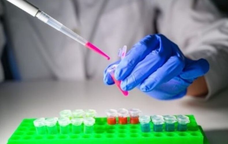 El Instituto BMA formará sobre estudios de enfermedades de base genética para el diagnóstico veterinario.