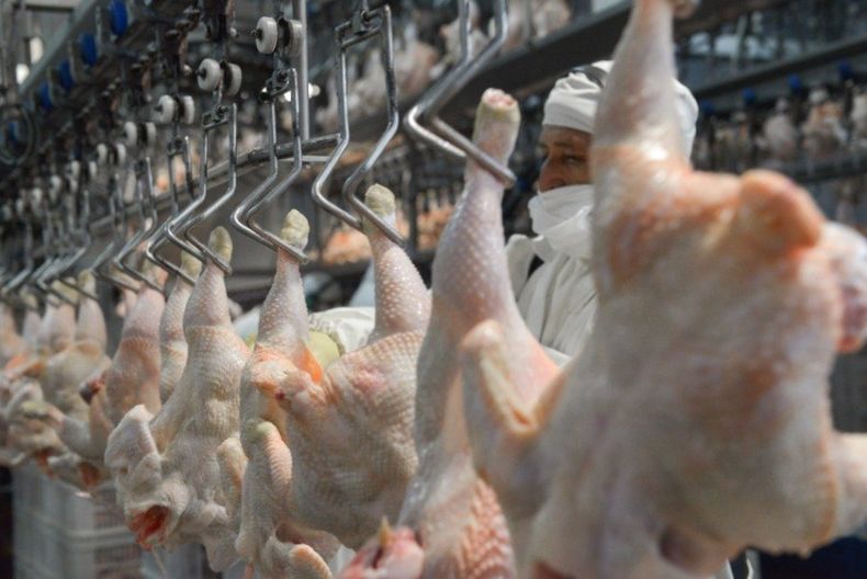 Exportaciones. Misiones oficiales reimpulsan el comercio internacional de carnes.