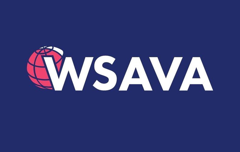 El candidato o la candidata deberá apoyar y asesorar a los líderes de WSAVA en asuntos relacionados con la rabia.