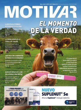 PORTADA MOTIVAR 260.jpg