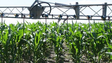 En los últimos 6 años, el uso de fertilizantes superó las 4.000.000 toneladas.