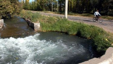La gestión eficiente del agua es clave para la producción agrícola en zonas áridas, optimizando el riego y la sustentabilidad de los cultivos.