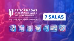 Las jornadas de veterinaria se dividirán en siete salas temáticas. Las jornadas de veterinaria se dividirán en siete salas temáticas.