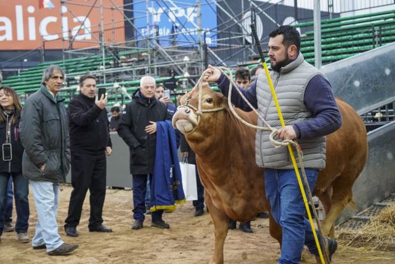 La diversidad de la ganadería argentina se exhibe en la Expo Rural, reflejando el dinamismo y la riqueza de su producción.