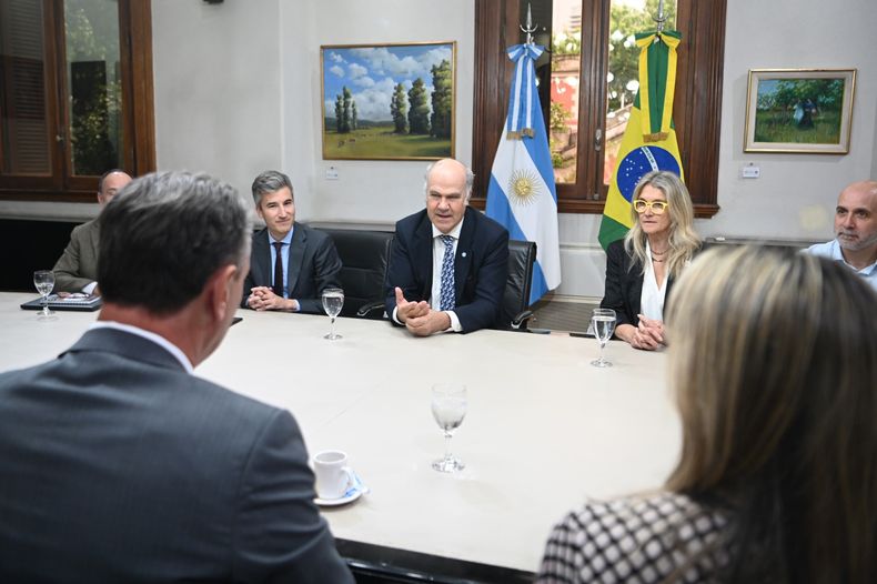 Influenza aviar. Autoridades sanitarias de Argentina y Brasil en un nuevo encuentro por la sanidad.