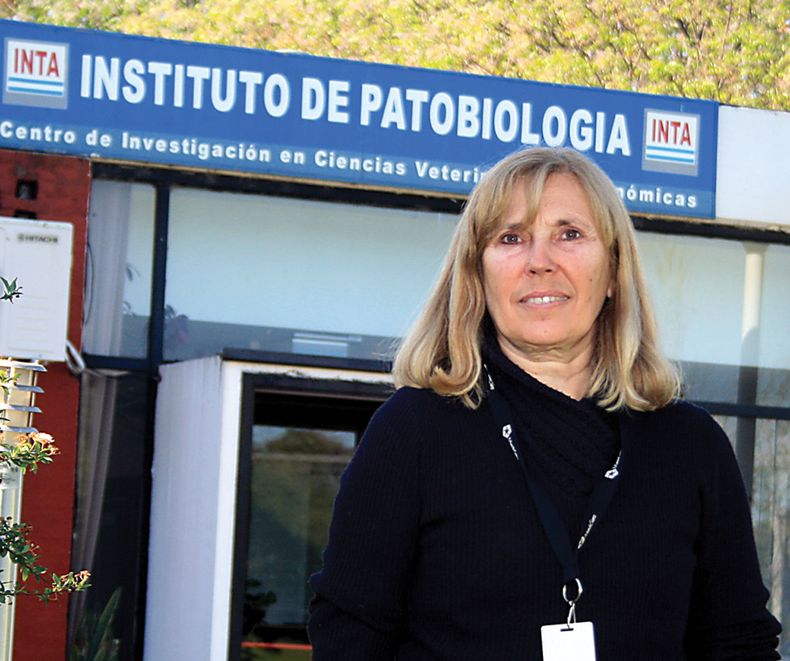 Leptospirosis bovina. Bibiana Brihuega, del INTA, indicó que avanza con pérdidas invisibles.