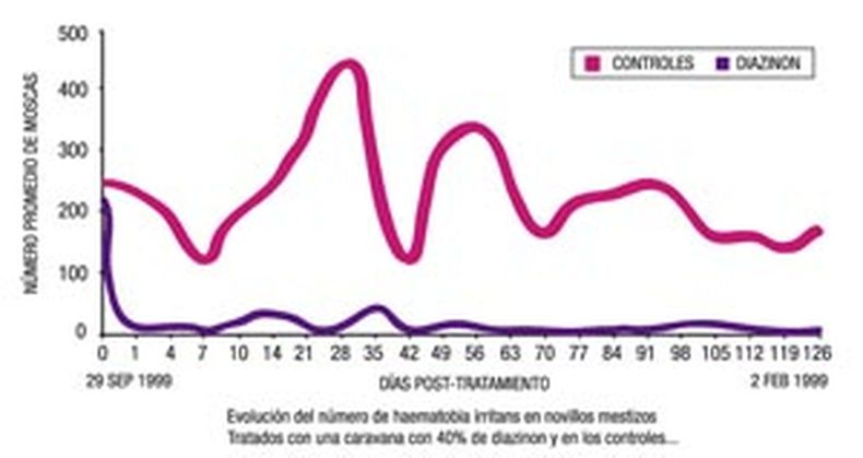 foto over grafico ch.jpg