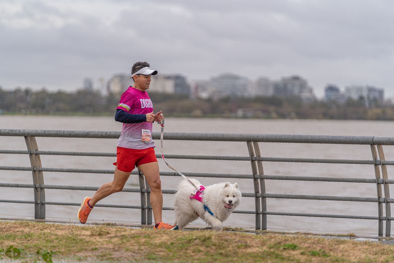 La idea de DOGRUN es ofrecer una experienciaúnica donde cada persona pueda fortalecer la relación con su perro.