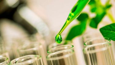 Empresas de nutrición animal están invirtiendo en formulaciones más estables y específicas.